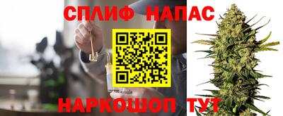 мет Моздок