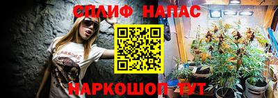 МДПВ Можайск