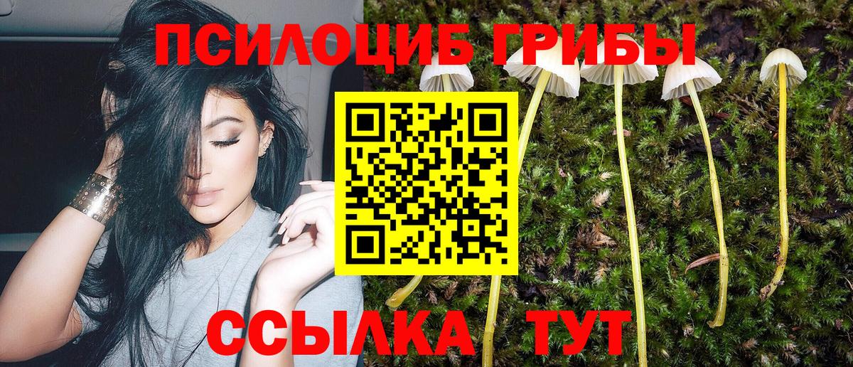 где купить   Вход с VPN  Ханты-Мансийск  Псилоцибиновые грибы Cubensis 